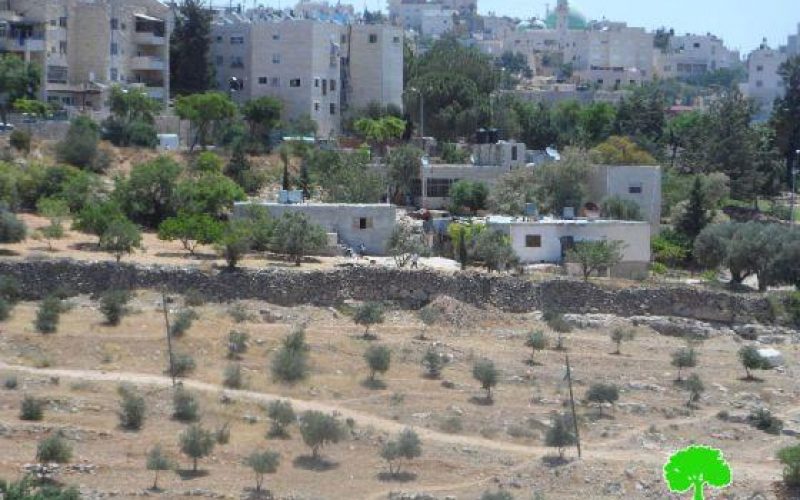 Israeli Colonists Attempts to Open a Road