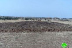 مستعمرون يحرقون محصول قمح في ” زيف ” شرق يطا / محافظة الخليل