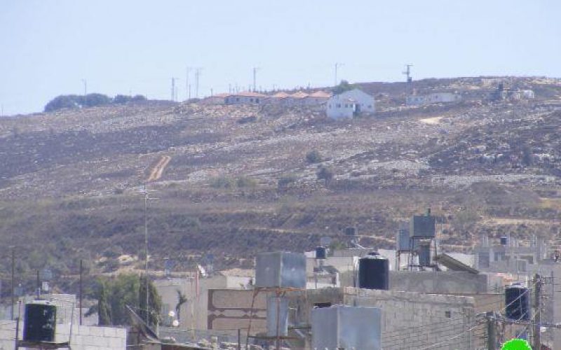 مستعمرو “جلعاد زوهر” يحرقون 5 دونمات من أراض قرية صرة /محافظة نابلس