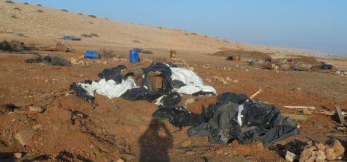 Demolishing a Number of Tents and Barns in Toubas Governorate