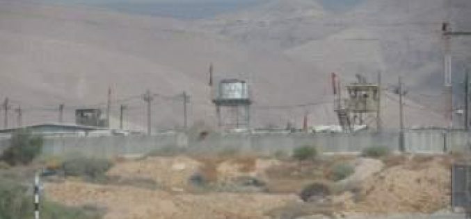 الاحتلال الإسرائيلي يفرض قيوداً على استعمال المراعي لتجمع عرب الرشايدة في منطقة النويعمة / محافظة أريحا