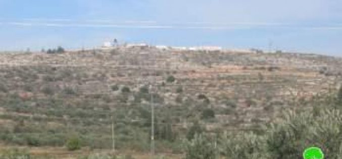 الشروع بإقامة بؤرة استيطانية جديدة على أراضي قرية عينابوس / محافظة نابلس