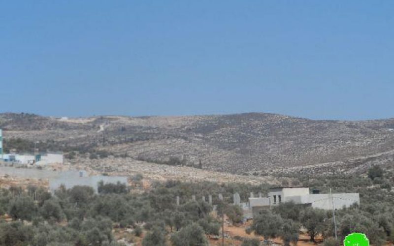 Burning 90 dunums of land in Nablus