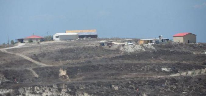 إحراق 48 شجرة زيتون من أراضي قرية تل وصرة / محافظة نابلس