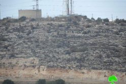 مستعمرو ” الكانا” يحرقون 140 شجرة زيتون في بلدة الزاوية / محافظة  سلفيت