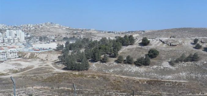 Jabal Abu Ghneim “Har Homa”  colony is going under expansion