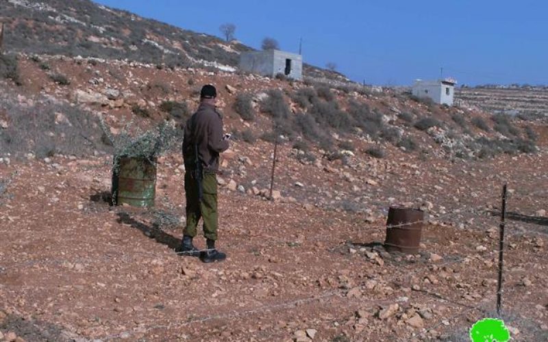 Damaging 27 olive trees and destroying a agricultural room in Nablus