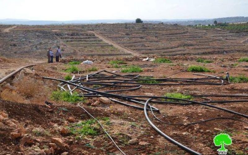 الاحتلال الاسرائيلي يجرف ثمان دونمات زراعية في قرية راس عطية