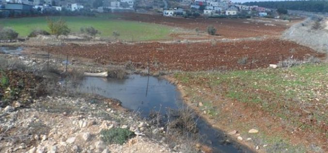 Colony of Meirav pumps sewage into Jalbun lands