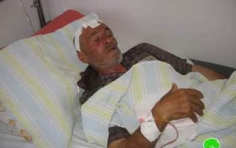 A Palestinian farmer is physically assaulted by colonists