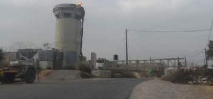 The Israeli occupation re-shuts off the entrance of Kifl Haris