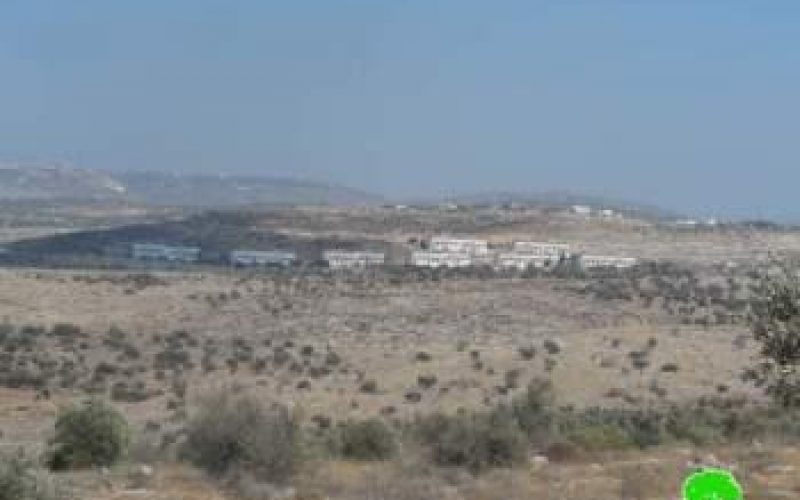 Colonists of Avnei Hefetz destroy 26 olive saplings