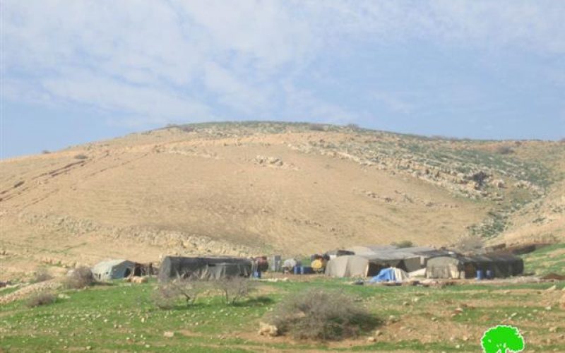 Sending five stop-work and evacuation orders to five Bedouin families