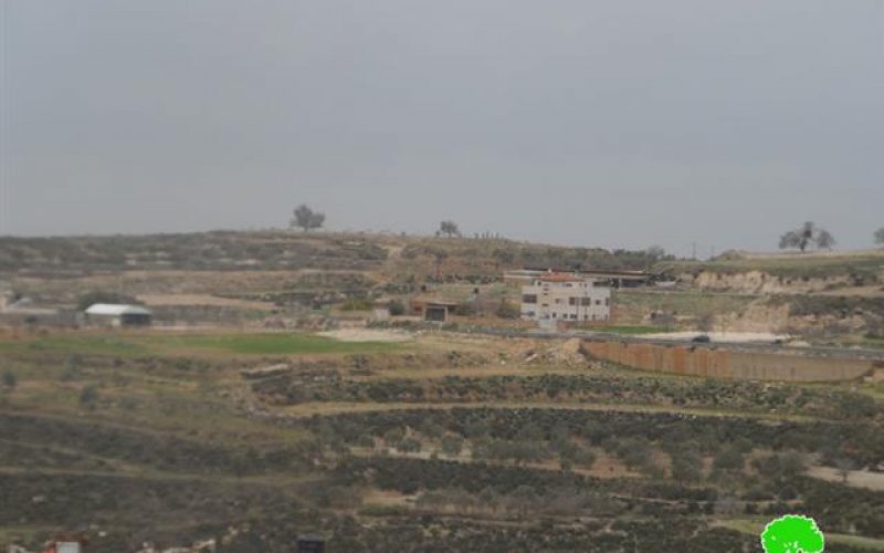 ما تسمى دائرة أراضي اسرائيل تعلن وضع اليد على 1300دونم من أراضي قرية جينصافوط في محافظة قلقيلية