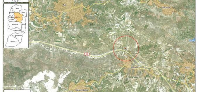 الاحتلال الإسرائيلي يخطر بمصادرة 4 دونمات زراعية في قريتي مادما وتل جنوب مدينة نابلس
