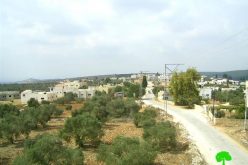 الاحتلال الإسرائيلي يسلم ثلاثة مواطنين من قرية برطعة إخطارات لوقف البناء