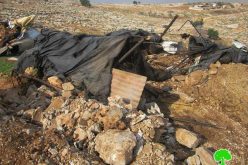 The Israeli occupation demolishes barns in Ramallah