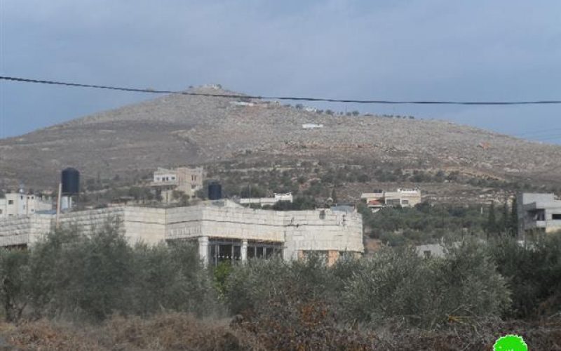 Damaging 34 olive trees in Ainabos