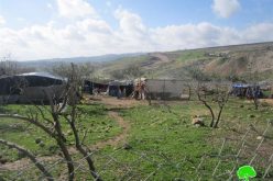 The Israeli occupation confiscates a number of tents