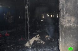 إحراق مزرعة للدواجن في قرية مادما / محافظة نابلس