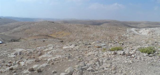 Shepherds denied access to pastures by the occupation in Yatta town –Hebron governorate