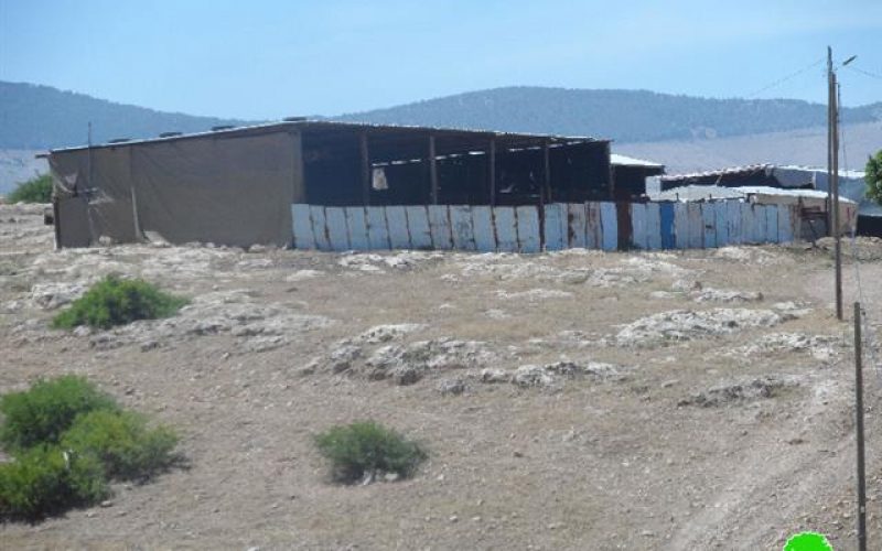إخطار بوقف البناء لسبع بركسات زراعية في قرية بردلة / محافظة طوباس