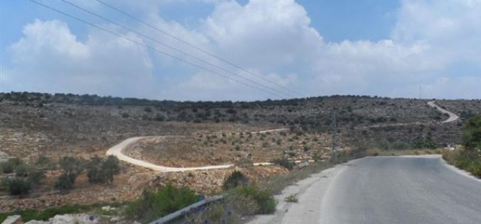 Land Takeover in Salfit <br> Israeli Occupation Forces Extends the Seizure of 381 Dunums of the Lands of the Villages of Siniria and Al Zawiya in Qalqilia Governorate