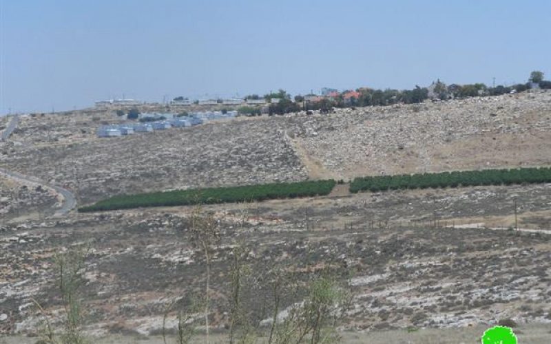 إحراق دونم مزروع بالقمح في قرية دير جرير / محافظة رام الله