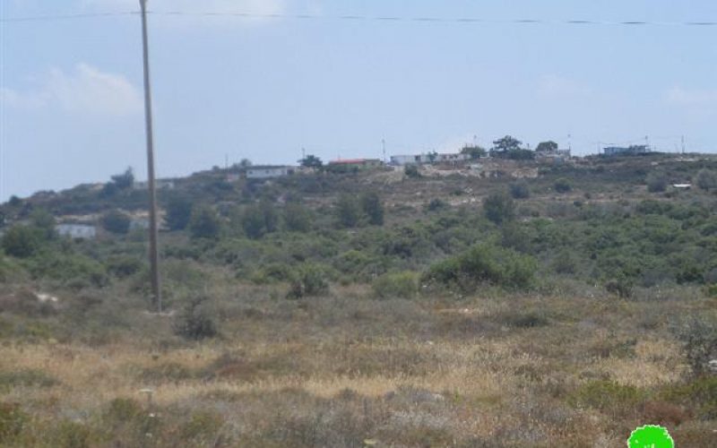 Nofei Manheim is undergoing expansion on lands of Jinsafut village