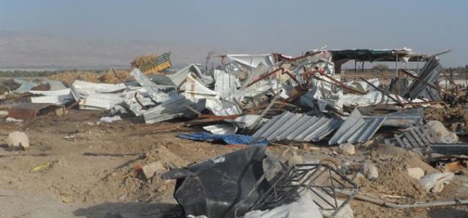 Demolition of a Bedouin Community in Al Jiftlik- Jericho Governorate