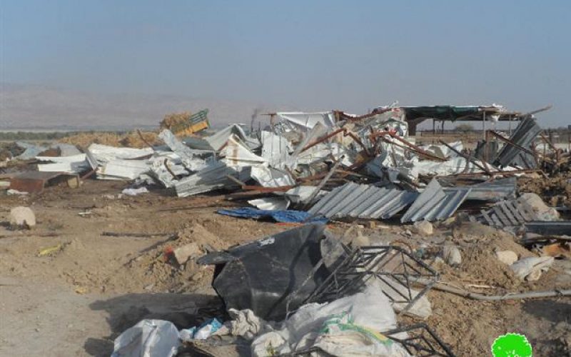 Demolition of a Bedouin Community in Al Jiftlik- Jericho Governorate