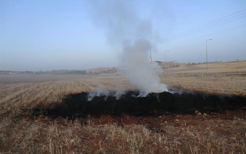 Israeli Settlers torched crops in Yatta