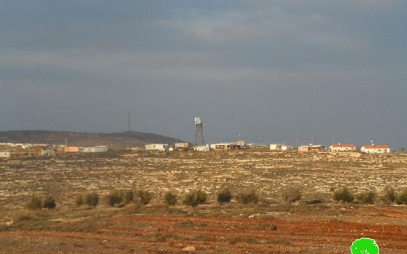 Colonists of Hayovel destroy almond trees in Qaryut