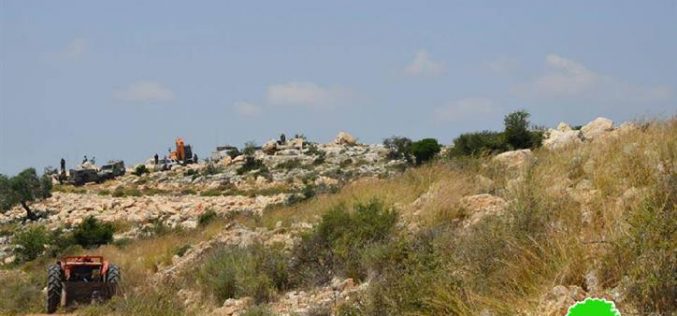 Preparations for Establishing a New Colony west of Salfit city