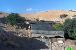 الاحتلال الإسرائيلي يبلغ أهالي ” حمصة” البدوي بقرار الهدم والترحيل لتجمعهم