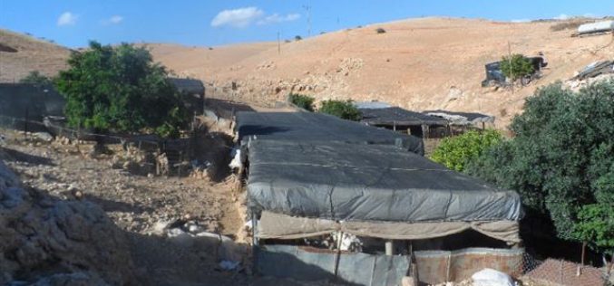 الاحتلال الإسرائيلي يبلغ أهالي ” حمصة” البدوي بقرار الهدم والترحيل لتجمعهم