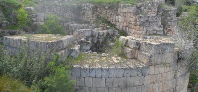 الشروع في تغيير المعالم التاريخية  في قرية سبسطية