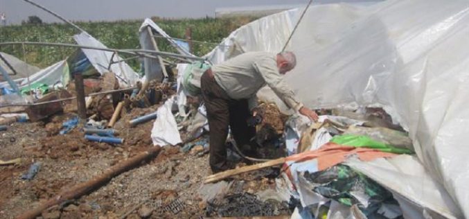 The Israeli occupation destroys stalls in the Jordan Valley