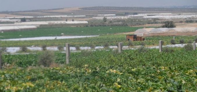 الاحتلال الاسرائيلي يصادر ثمان جرارات زراعيه في مرج ابن عامر