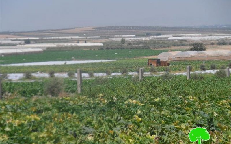 The Israeli occupation confiscates eight tractors