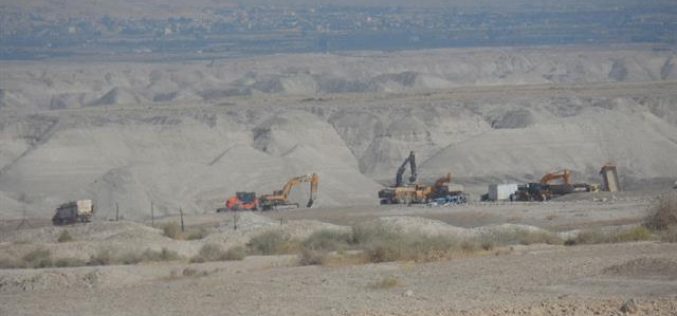 Israeli Companies Plunder the Palestinian Jordan Valley