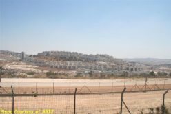 Escalated Israeli Colonial Activities in the occupied Eastern part of the city of Jerusalem