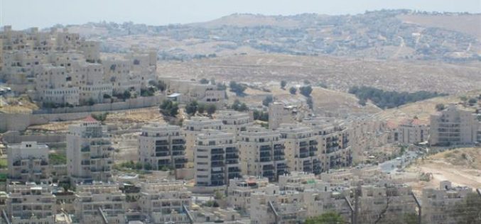 كاميرا أريج ترصد التوسعات الاستيطانية الاسرائيلية في مستوطنة أبو غنيم – هار حوما