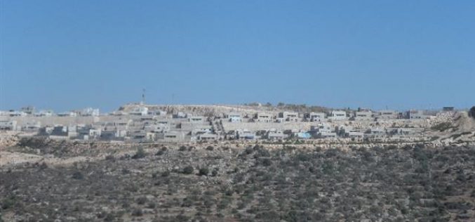 Preparations for Establishing a New Colony in Salfit Governorate