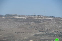 Expansion of Bracha on Burin lands
