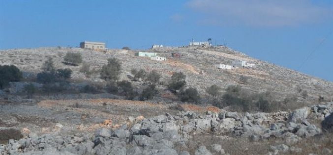 Pastures and olive trees burned down in areas classified B in Bourin village