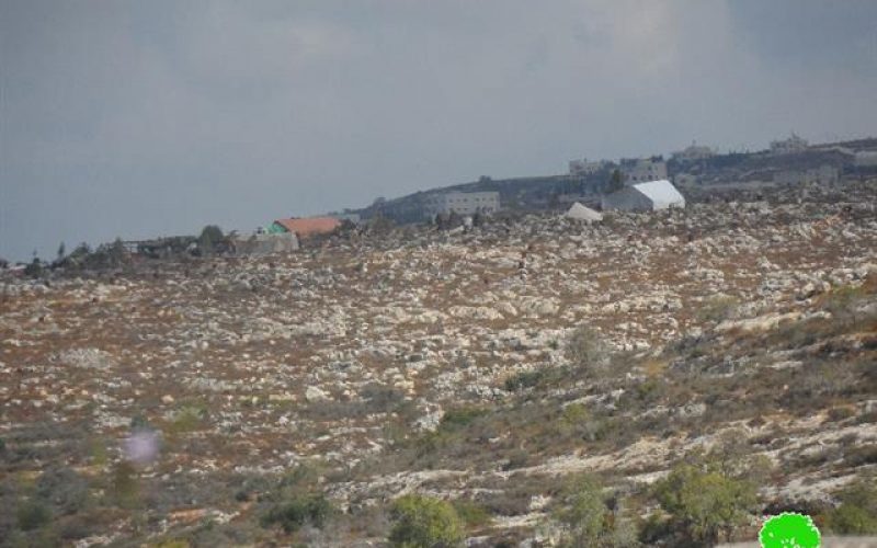 New outposts established in Kfar Tapuah