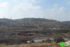 Maale Shomron puts hand on a piece of land in Qalqiliya