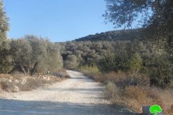 Notifying a residence and an agricultural road with stop work in Salfit