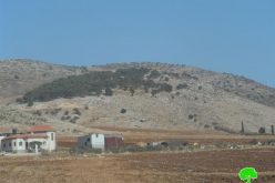 An eviction order on tens of agricultural dunums in Tubas
